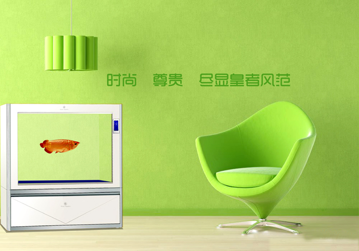 可麗愛金白色6 可麗愛金白色6