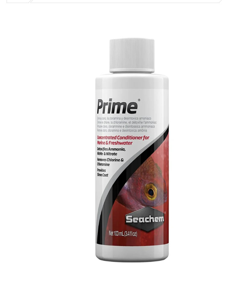 prime_100 PS prime_100 PS