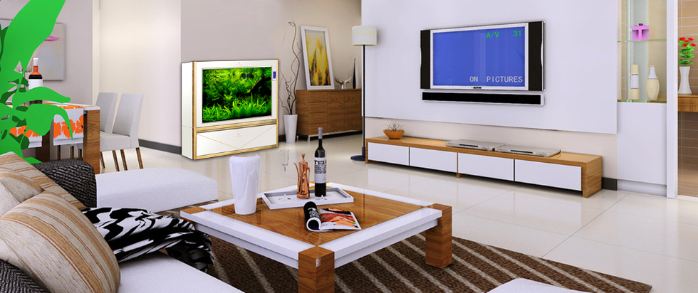 可麗愛(ài)金邊ad1