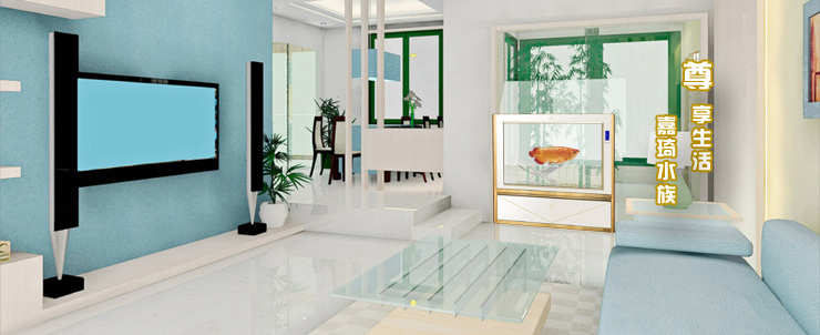 可麗愛(ài)金白色17